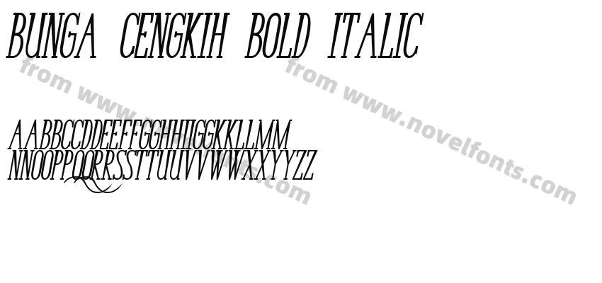 Bunga Cengkih Bold ItalicPreview