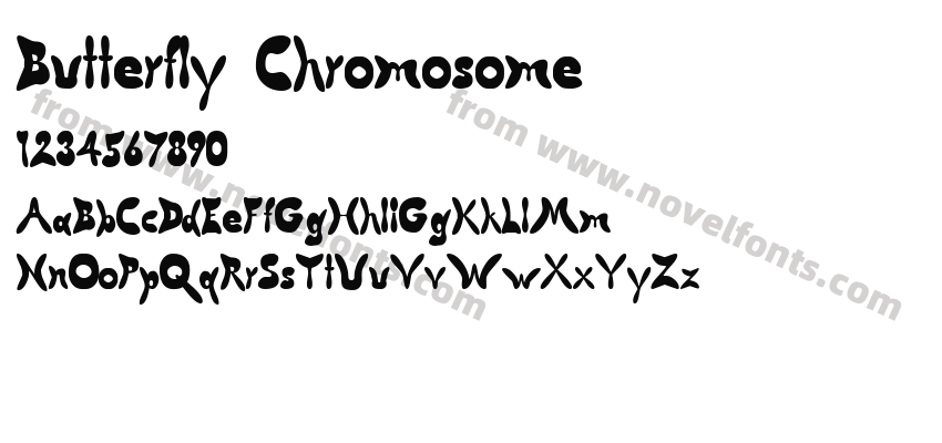 Butterfly ChromosomePreview