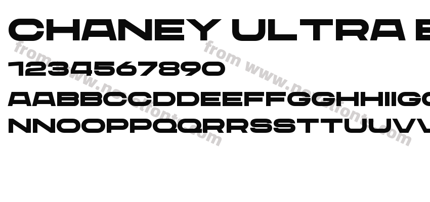 CHANEY Ultra ExtendedPreview