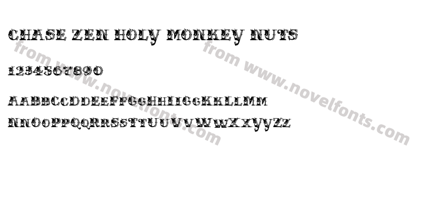 CHASE ZEN HOLY MONKEY NUTSPreview