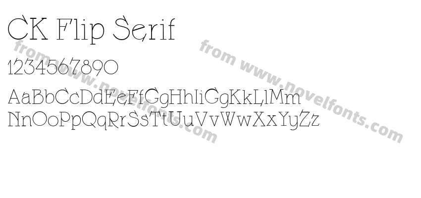 CK Flip SerifPreview