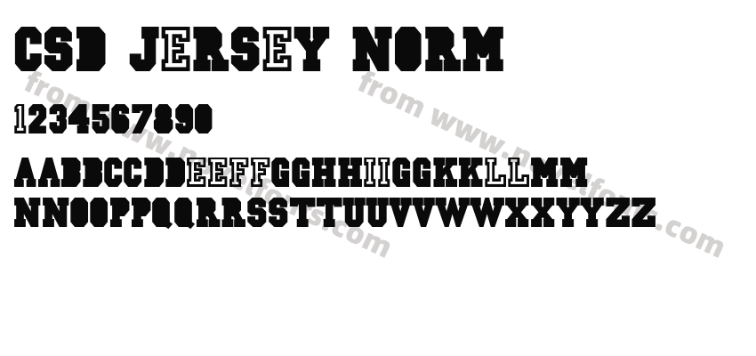 CSD-JERSEY-NormPreview