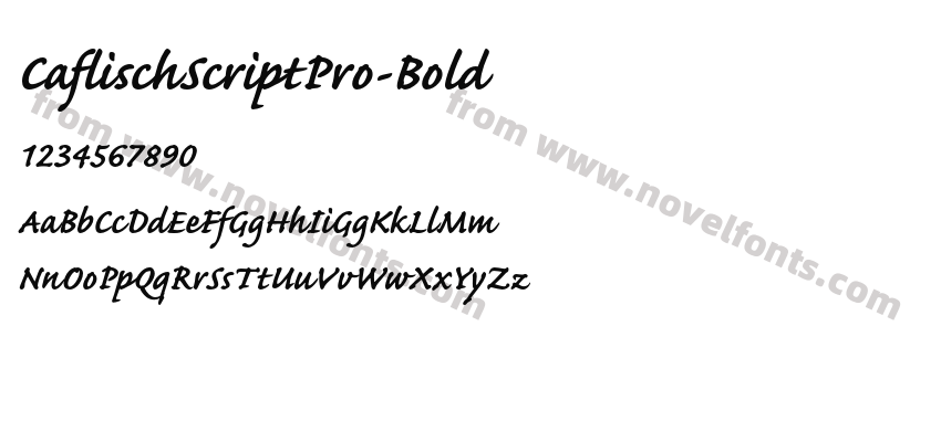 CaflischScriptPro-BoldPreview