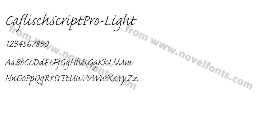 CaflischScriptPro-LightPreview