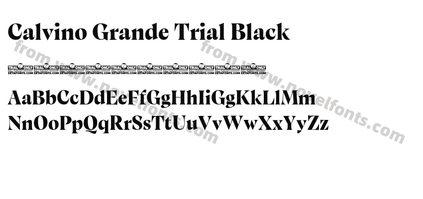 Calvino Grande Trial BlackPreview