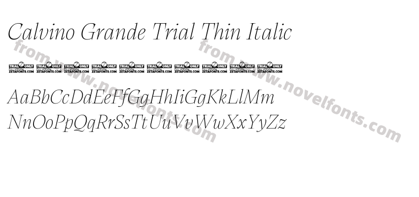 Calvino Grande Trial Thin ItalicPreview