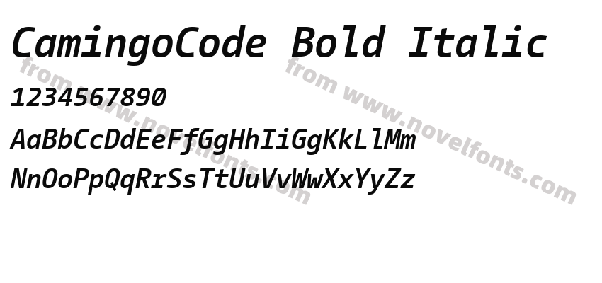 CamingoCode Bold ItalicPreview