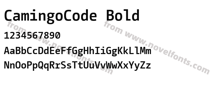 CamingoCode BoldPreview