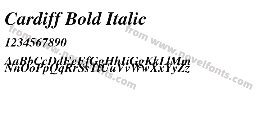 Cardiff Bold ItalicPreview