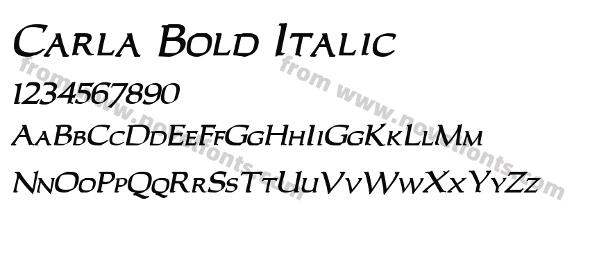 Carla Bold ItalicPreview