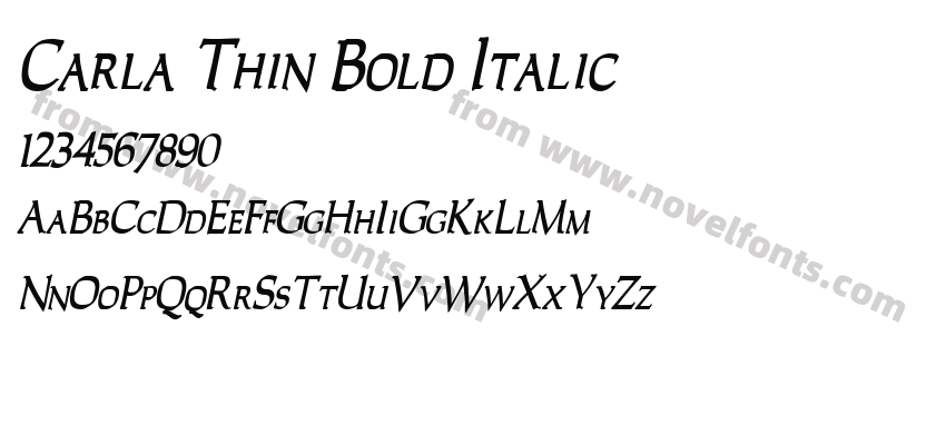 Carla Thin Bold ItalicPreview