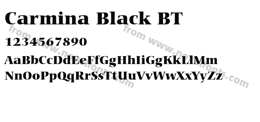 Carmina Black BTPreview