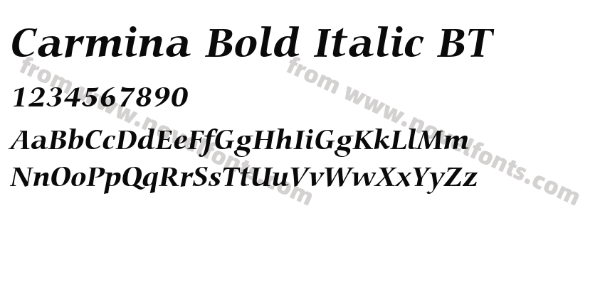 Carmina Bold Italic BTPreview