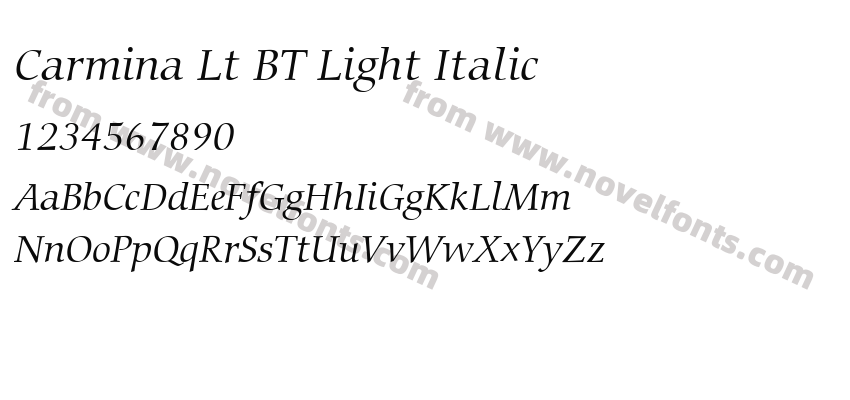 Carmina Lt BT Light ItalicPreview