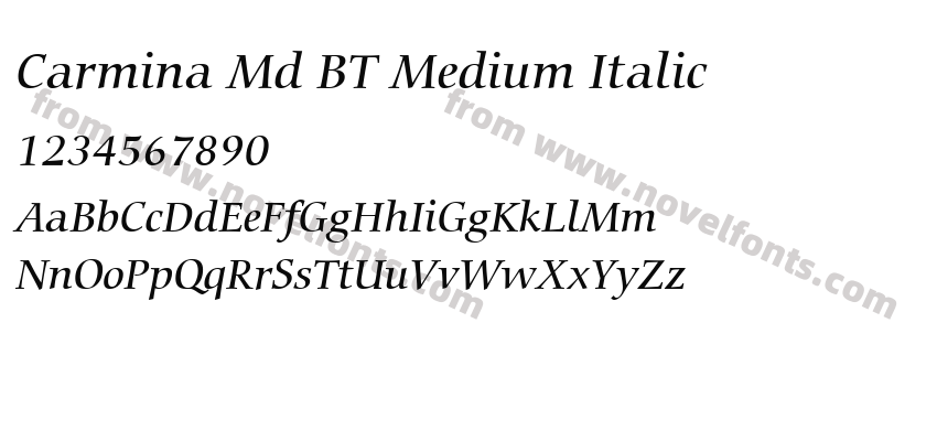 Carmina Md BT Medium ItalicPreview