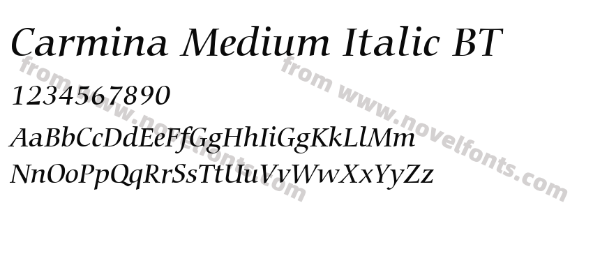 Carmina Medium Italic BTPreview