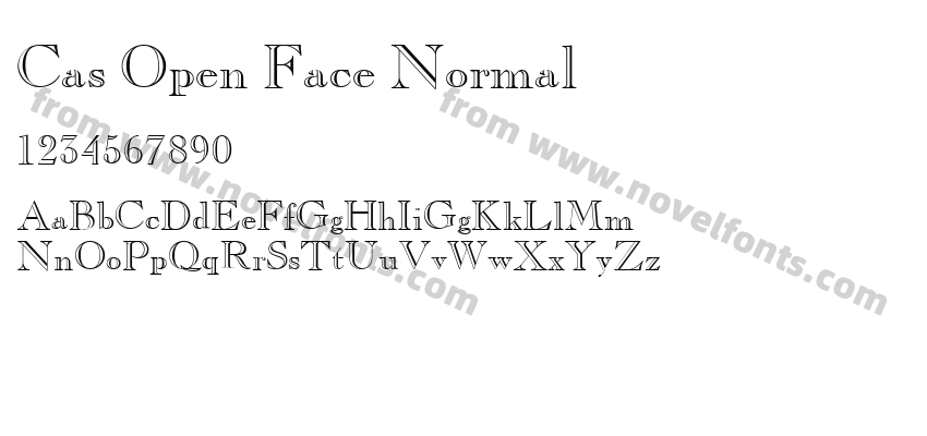 Cas Open Face NormalPreview