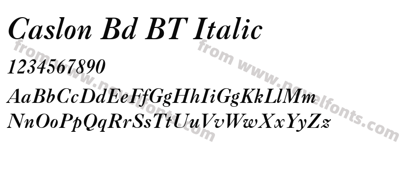 Caslon Bd BT ItalicPreview