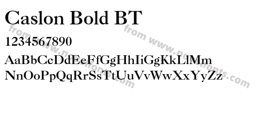 Caslon Bold BTPreview