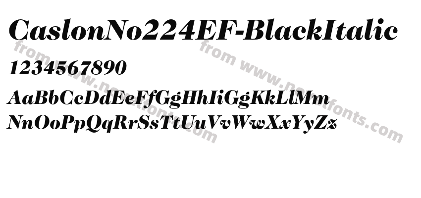 CaslonNo224EF-BlackItalicPreview