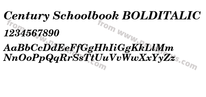 Century Schoolbook BOLDITALICPreview