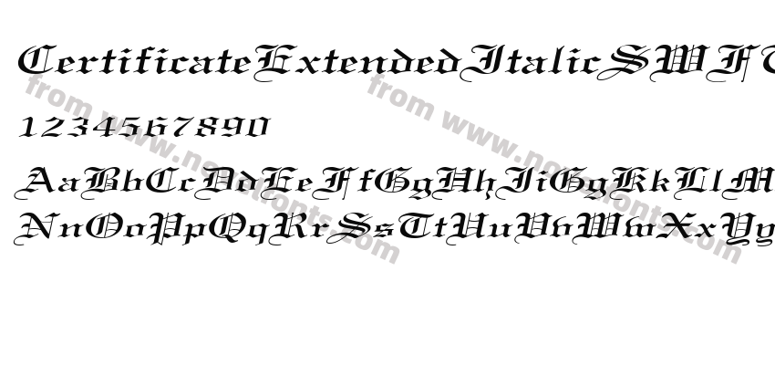 CertificateExtendedItalicSWFTEPreview