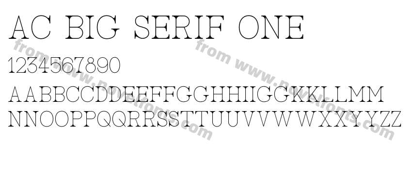 AC Big Serif OnePreview