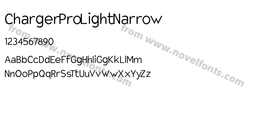 Charger Pro Light NarrowPreview