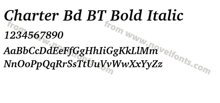 Charter Bd BT Bold ItalicPreview