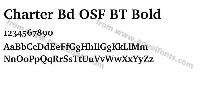 Charter Bd OSF BT BoldPreview