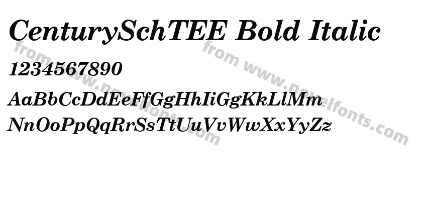 CenturySchTEE Bold ItalicPreview