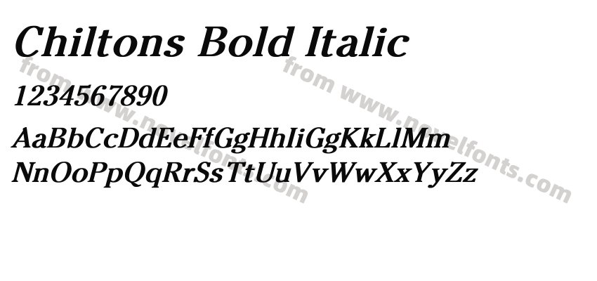 Chiltons Bold ItalicPreview